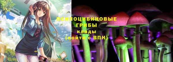 крисы Алексин