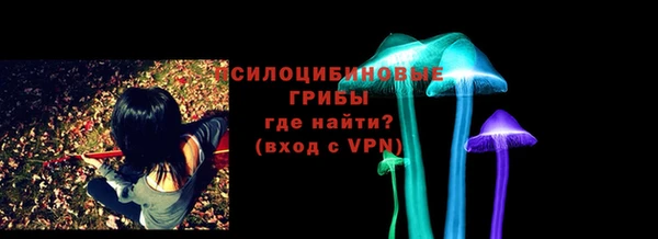 spice Алзамай