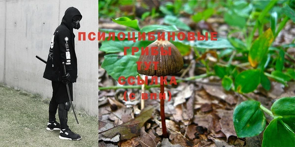 spice Алзамай