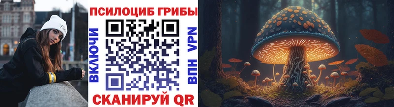 наркошоп  Казань  Псилоцибиновые грибы прущие грибы 