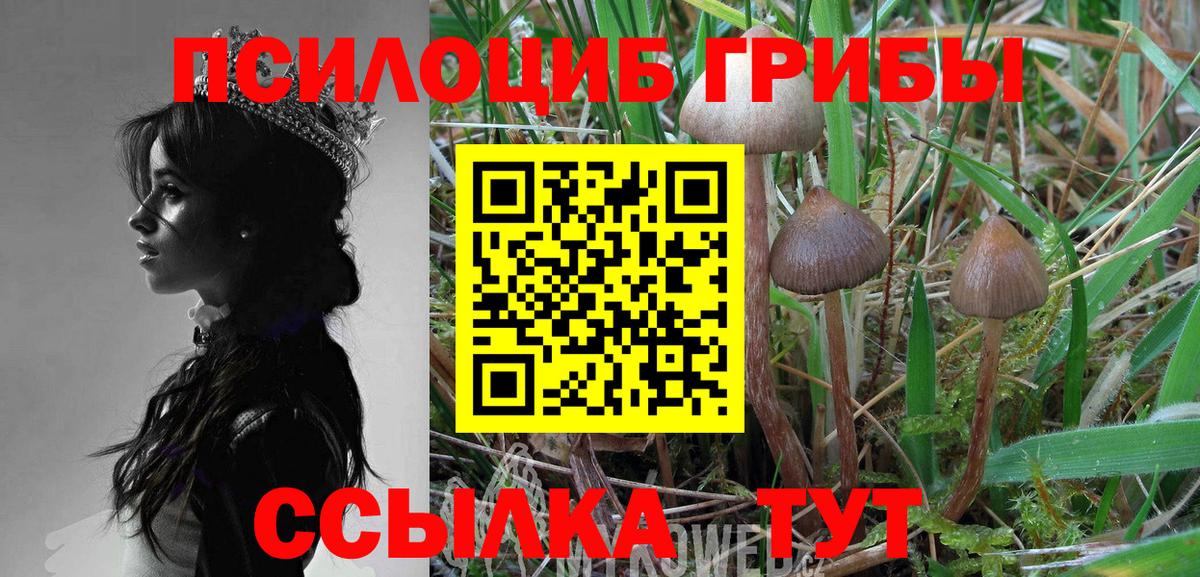 наркошоп  Галлюциногенные грибы мицелий  Вход с VPN  Казань 