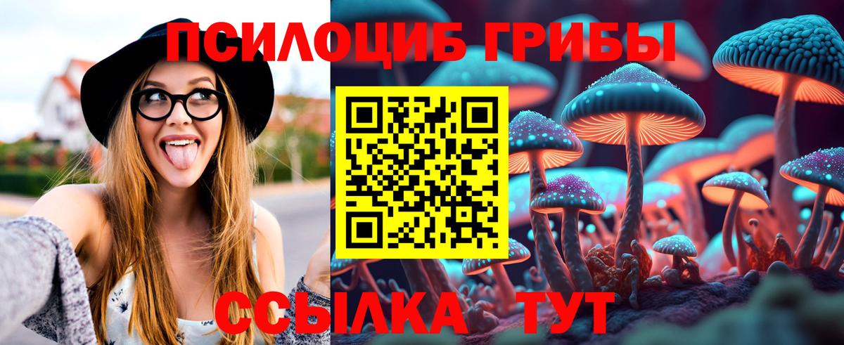 Псилоцибиновые грибы Psilocybe Казань