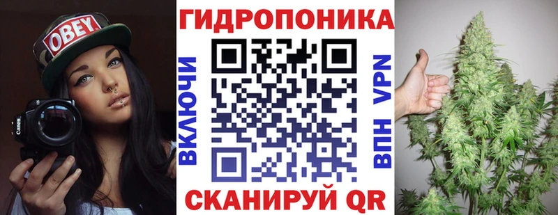 что такое   Казань  Конопля гибрид 